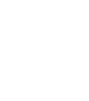 Heil Elite Dealer logo.